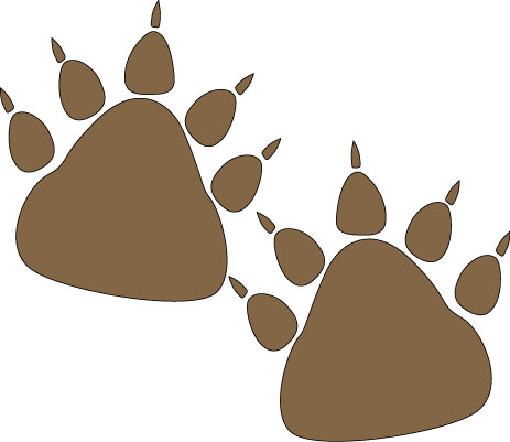 463x401 Polar Bear Clipart Grizzly Bear