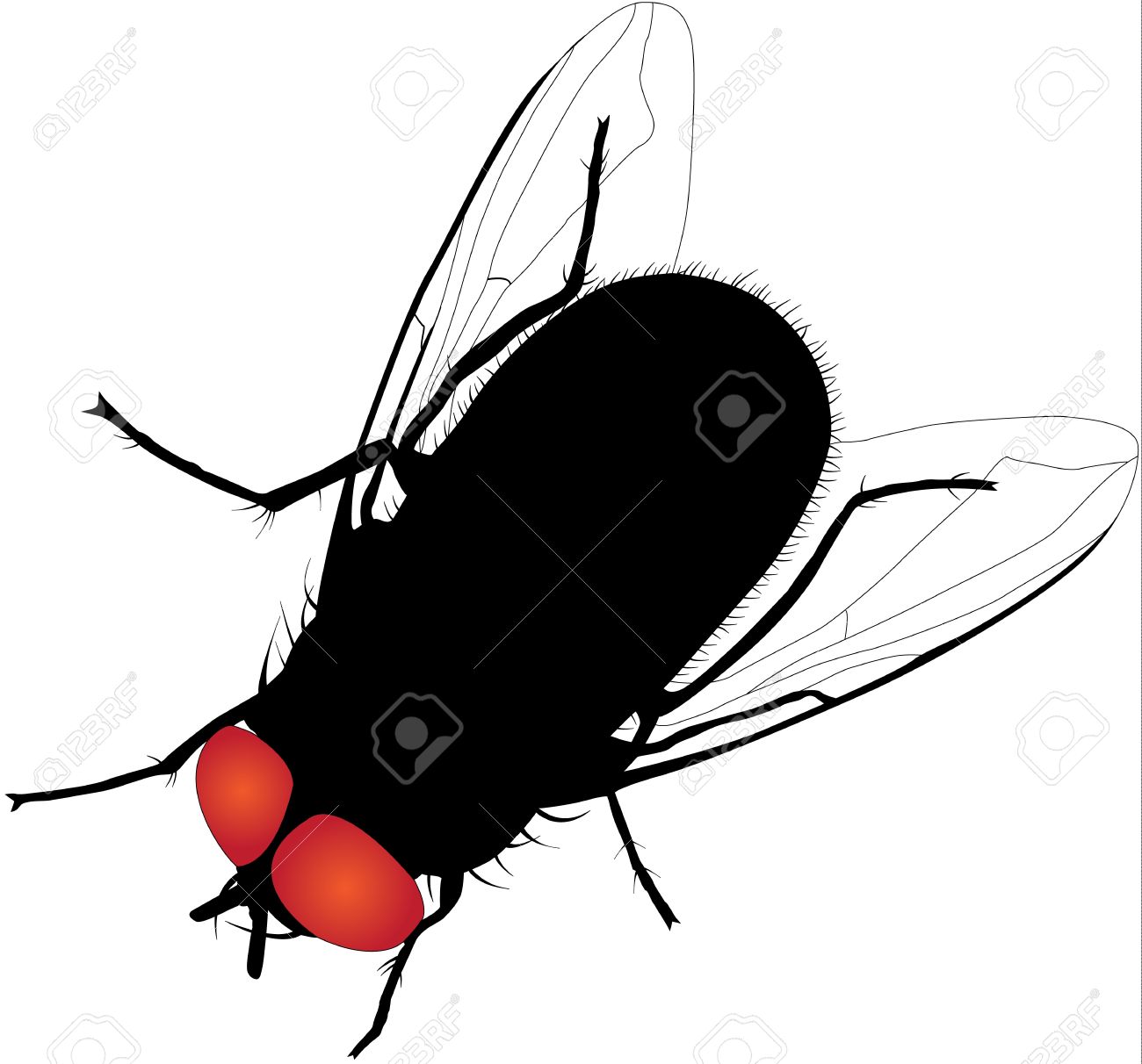 1300x1212 Top 87 Fly Clip Art