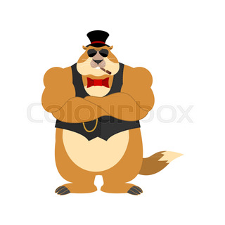320x320 Groundhog Day Stock Vector Colourbox
