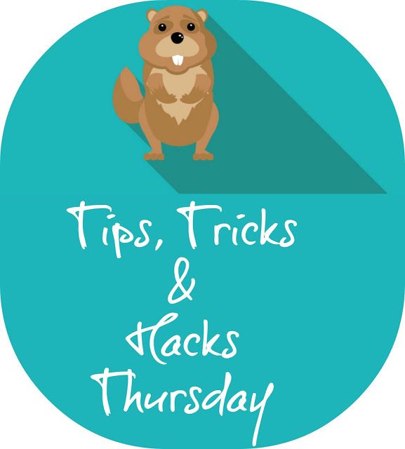 577x640 Best When Is Groundhogs Day Ideas What Is