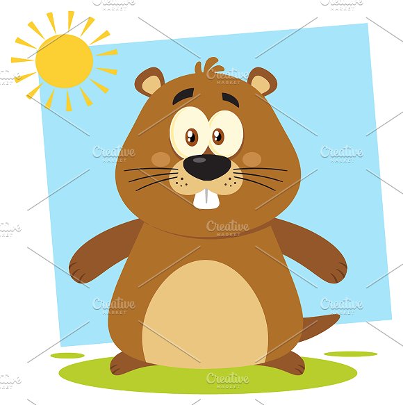 580x583 Marmot Clipart Cute