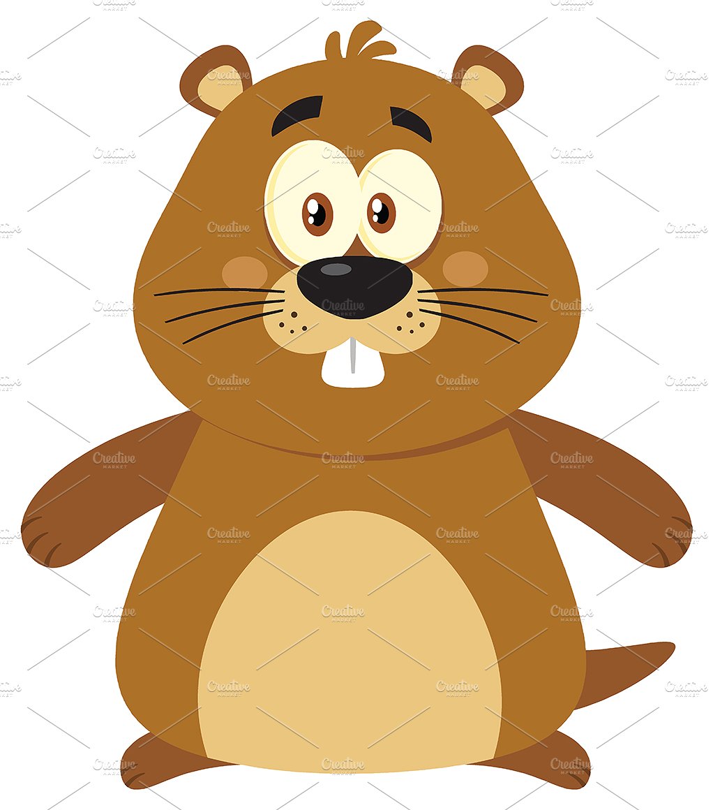 1022x1160 Marmot Clipart Cute