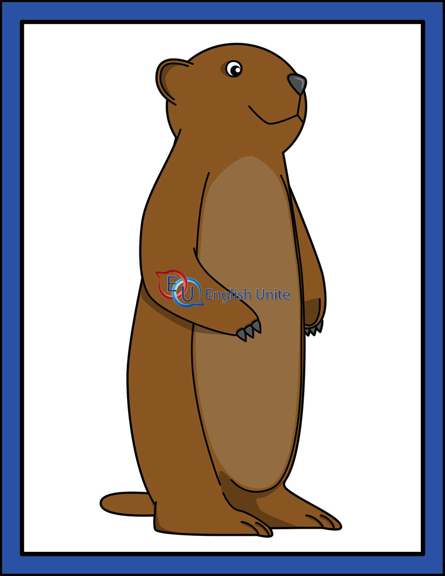 Groundhog Pictures Free