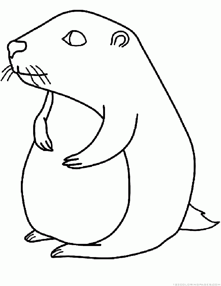 720x930 Groundhog Pictures Cartoon