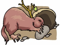 200x150 458 Best Groundhog's Day ~ Ideasactivities Images