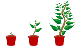 298x180 Growing Trees Clip Art