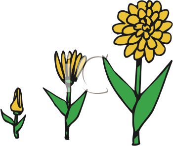350x297 Growing Clip Art Clipart