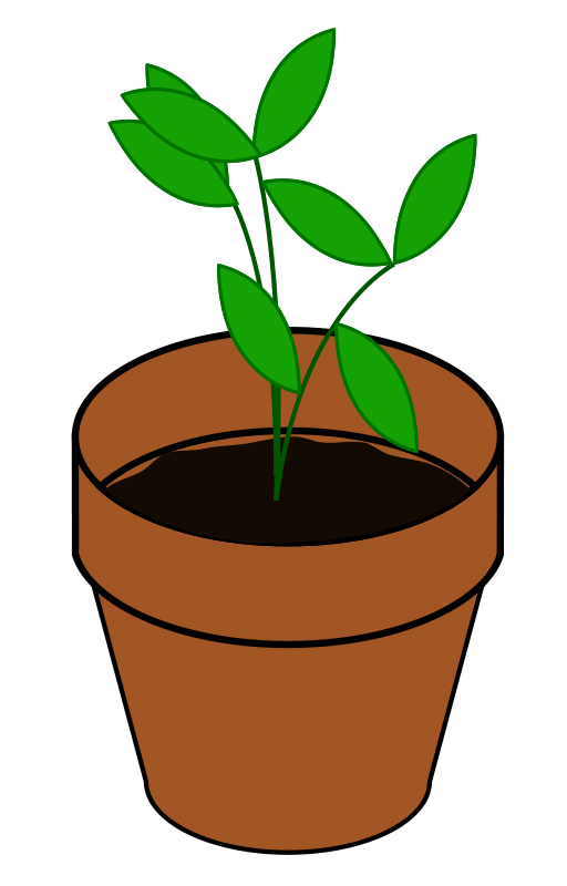 512x800 Growing Plant Clipart Free Images