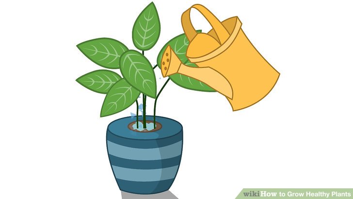 728x410 Pot Plant Clipart Tree Growing
