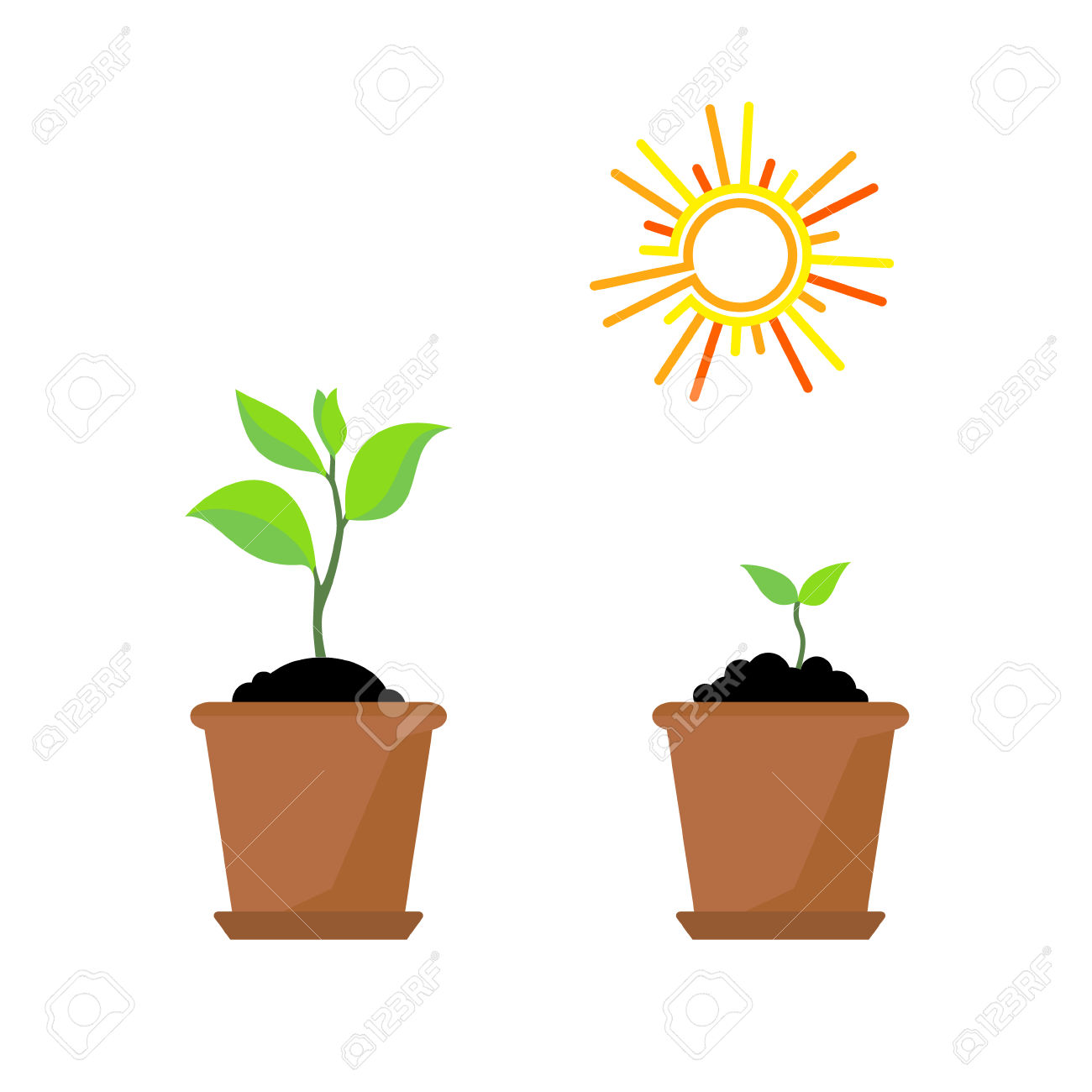 1300x1300 Leaves Growing From A Tree Clipart