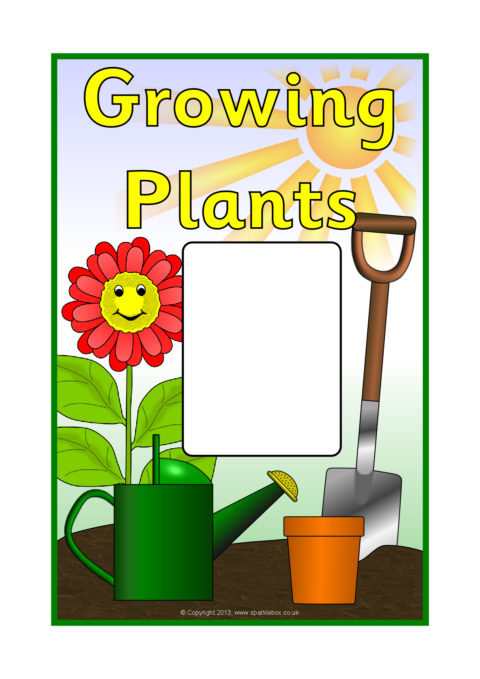 480x679 Plant Growth Primary Teaching Resources And Printables