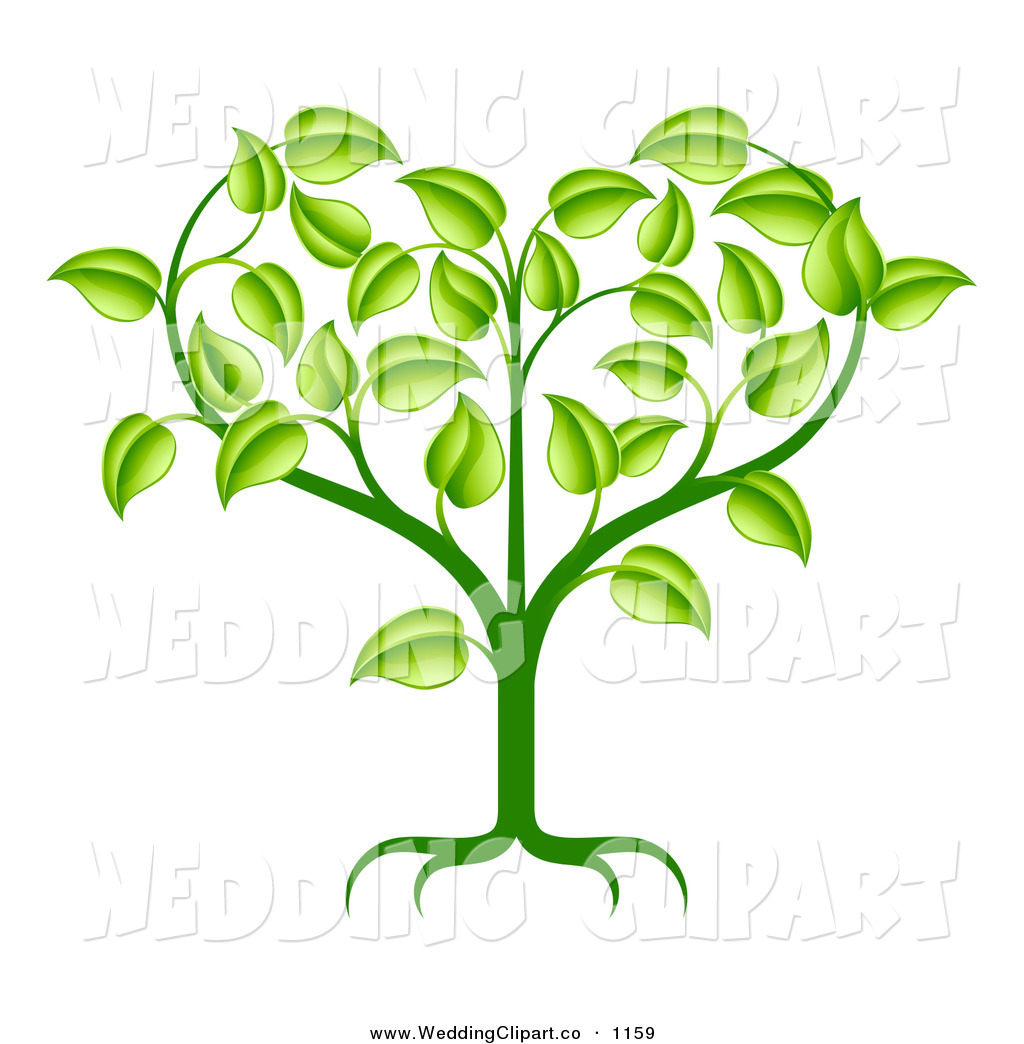 1024x1044 Plant Roots Clipart