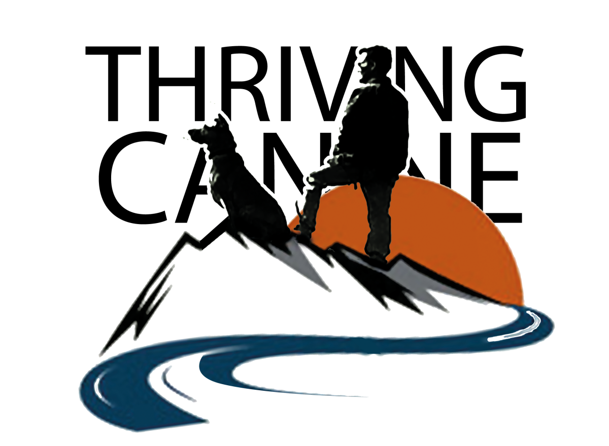 1200x880 The 6 Types Of Growling Thriving Canine