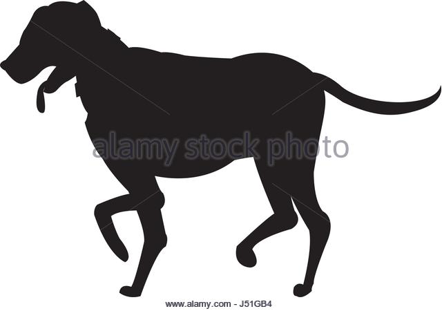 640x450 Dog Walking Stock Vector Images