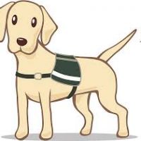 200x200 Guide Dog Clipart