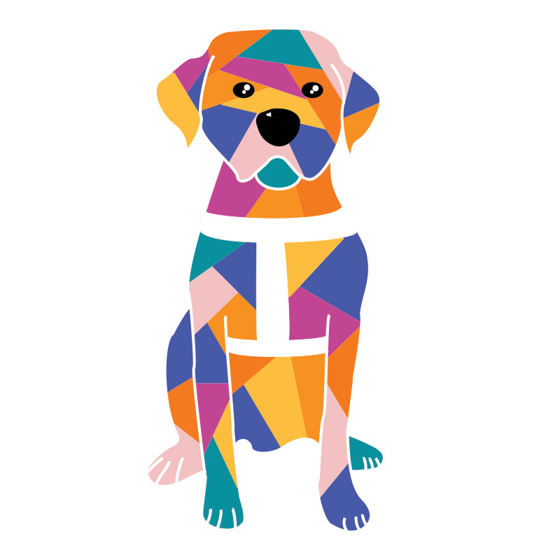 800x800 Unlikely Art Guide Dog Collection Dogs Take Centre Stage In New