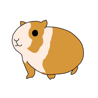 Guinea Pig Clipart | Free download on ClipArtMag