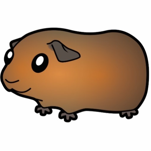 Guinea Pig Clipart | Free download on ClipArtMag