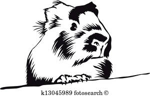 300x195 Guinea Pig Clip Art Royalty Free. 337 Guinea Pig Clipart Vector
