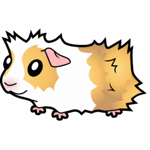 512x512 Brown Guinea Pig Clipart