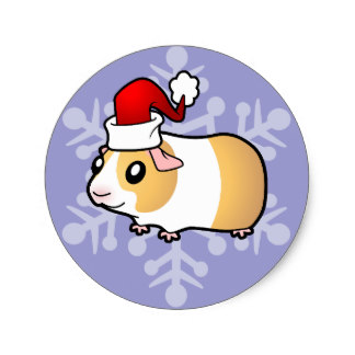 324x324 Cute Guinea Pig Stickers Zazzle