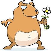 170x170 59 Guinea Pig Clipart Vector Clipart Panda