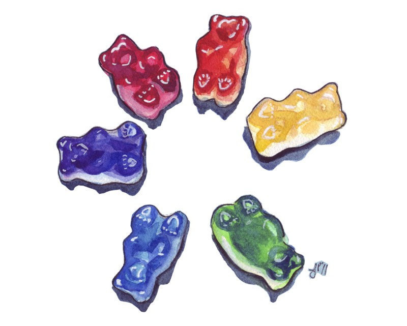 800x641 Gummy Bear Clipart
