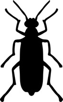 131x210 Search Results For Silhouette