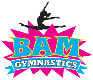 300x260 Gymnastics Classes