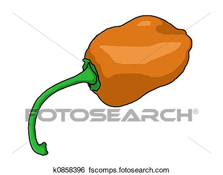 450x354 Stock Illustration Of Habanero Pepper Illustration K0858396