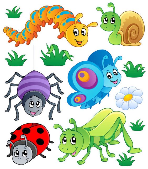 564x644 Caterpillars Vector Cartoon Animals 123 Clip Art
