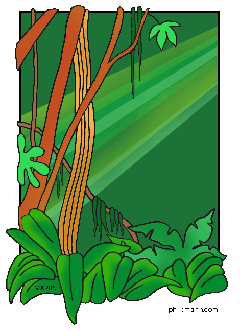 470x648 Top 77 Rainforest Clip Art