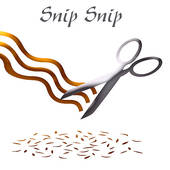 170x170 Clipart Of Icon With Hair And Scissors K14223171