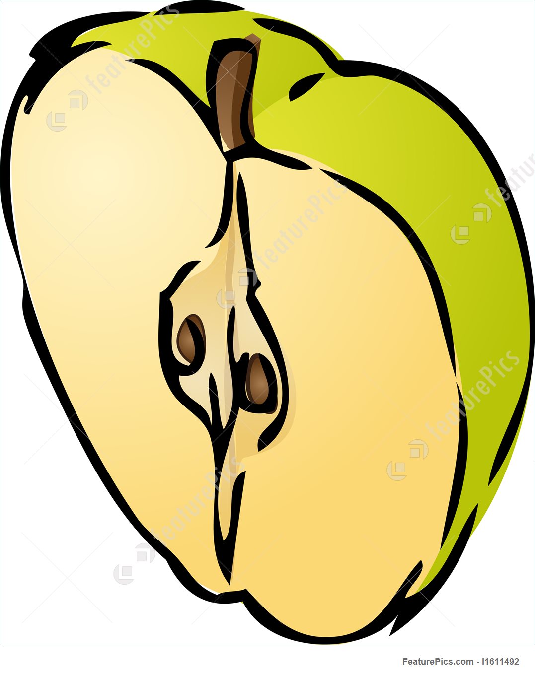 1077x1360 Sliced Apples Illustration