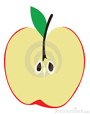 357x450 Apple Clipart Half Cut