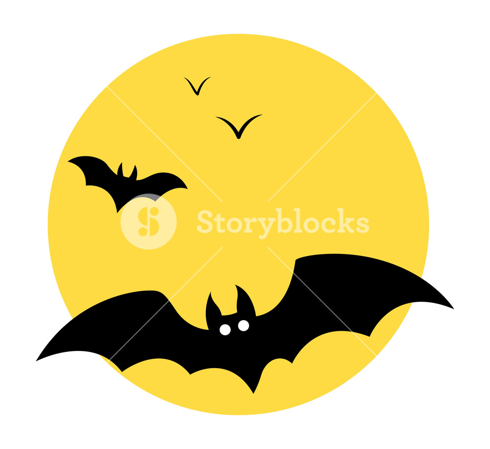 1000x916 Bats Flying In Sky