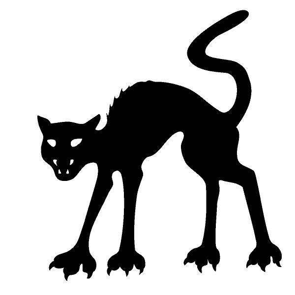 600x600 Bat Clipart Halloween Black Cat
