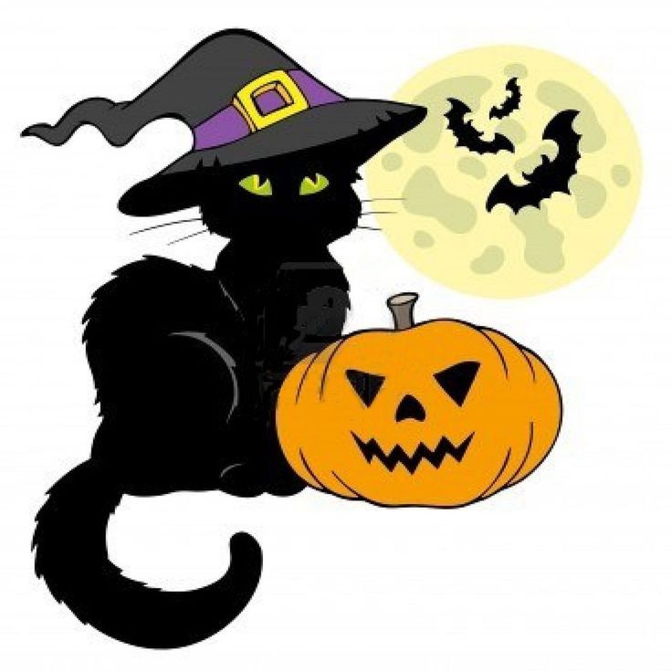 Halloween Black Cat Pictures