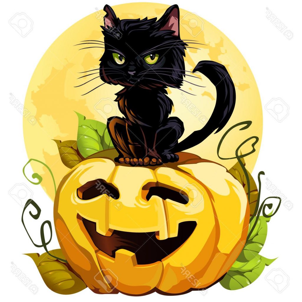1024x1025 Best 15 Black Cat Clipart Halloween Pumpkin File Free