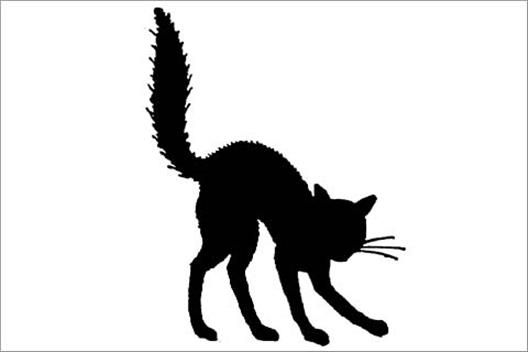 528x352 Halloween Cat Clipart Black And White