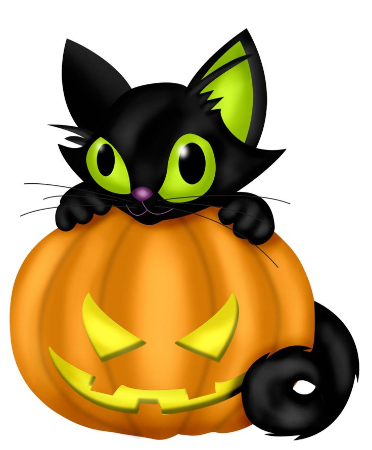 736x891 Halloween Cat Pumpkin Clipart