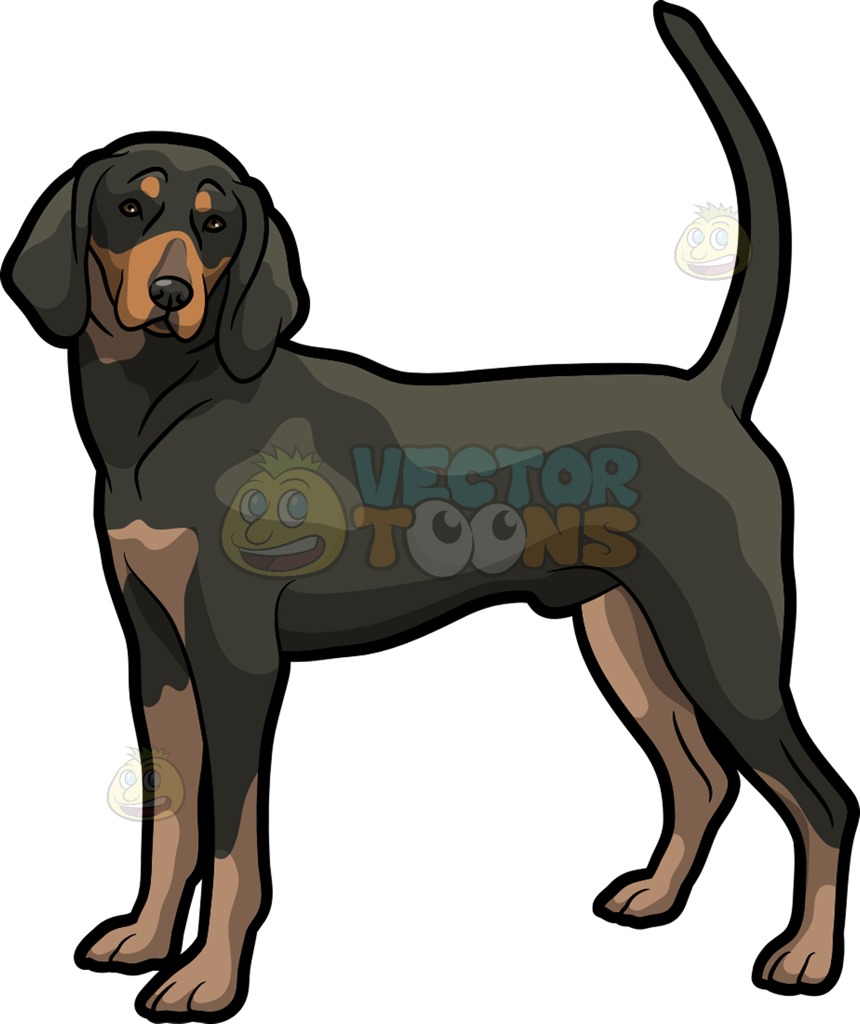 860x1024 A Cute Coonhound Pet Dog With House Decorated For Halloween