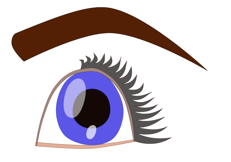 800x560 Eyeball Clip Art Download