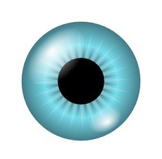 236x231 Green Eye Clipart Human Body Our God Made Science Boards