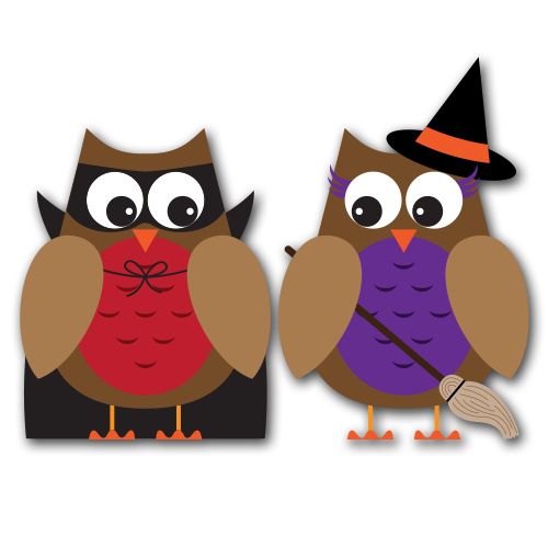 500x500 614 Best Owl Oween Images Love, Owls And So Cute
