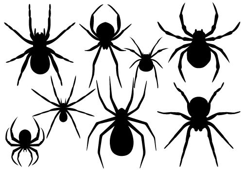 500x350 Halloween Spider Black And White Clip Art