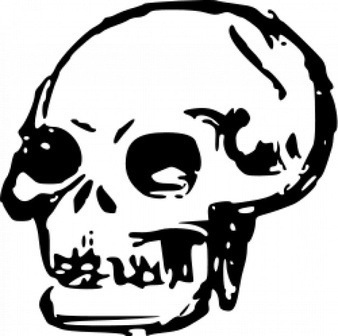 338x336 Free Skull Clipart