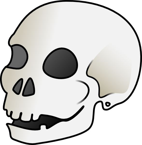 Halloween Skeleton Head Clipart Free Download On Clipartmag