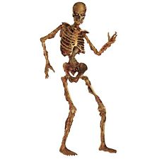 225x225 Halloween Skeleton Ebay