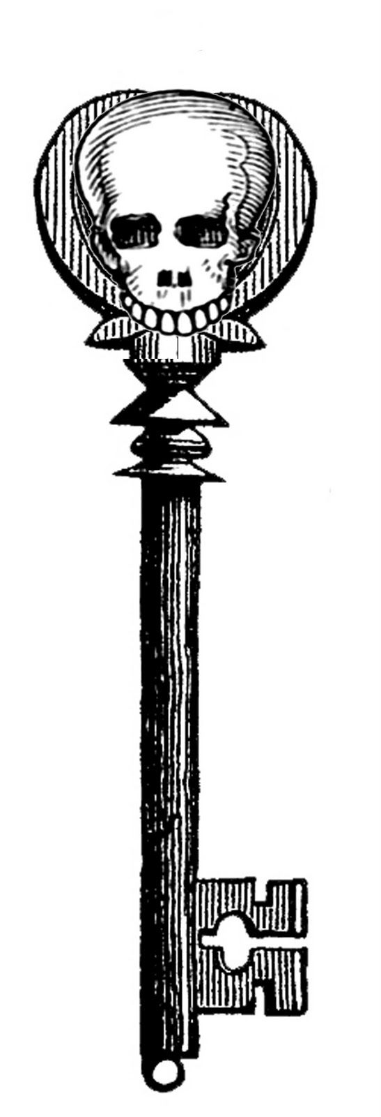 547x1600 164 Best Reference Images Halloween Images